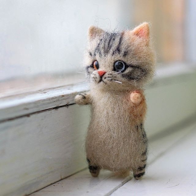 H39d2b08727a0400484afb21cefbc562a0.jpg H39d2b08727a0400484afb21cefbc562a0.jpg