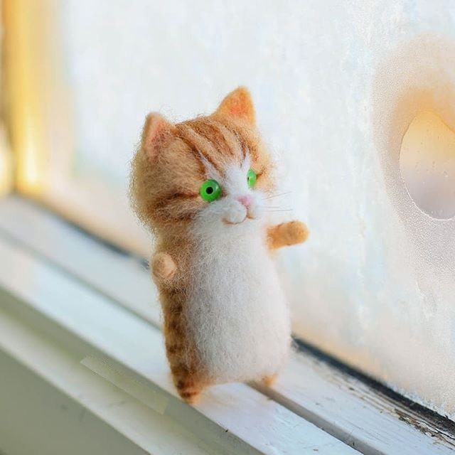 H4a5809e19b904d6997a5026cde181448c.jpg H4a5809e19b904d6997a5026cde181448c.jpg