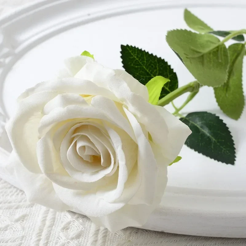 S85d58c3544fb495fb24a87169584240dn.webp S85d58c3544fb495fb24a87169584240dn.webp