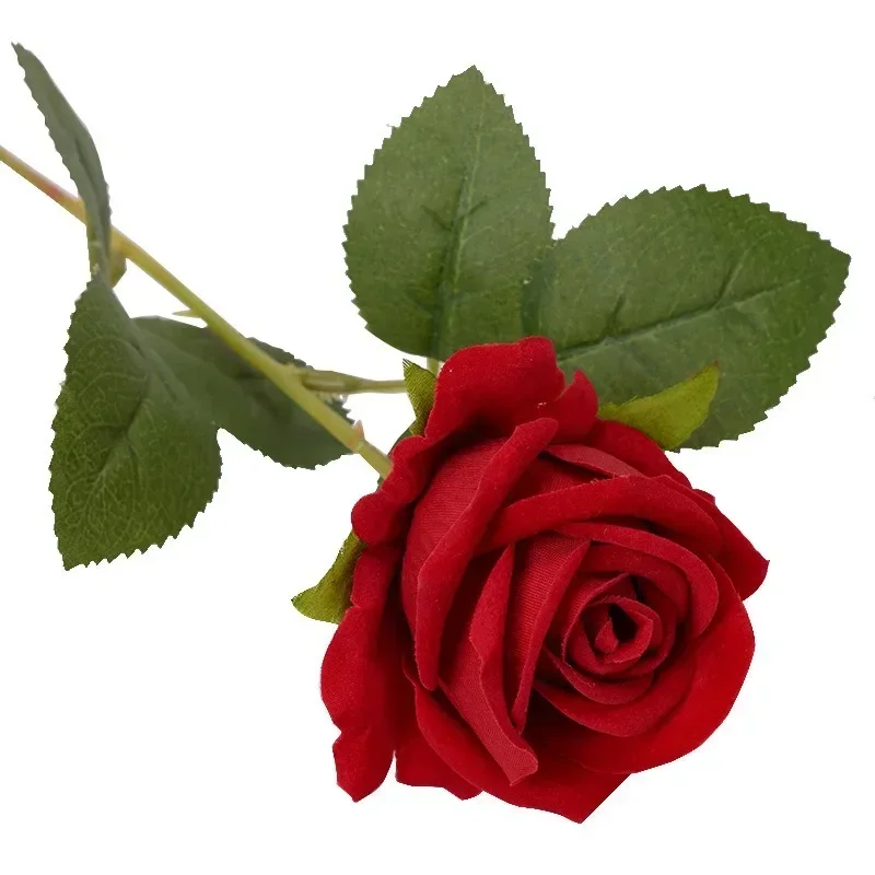 S969dc51be6cb4e75a3252f74fa1ca0c60.webp S969dc51be6cb4e75a3252f74fa1ca0c60.webp