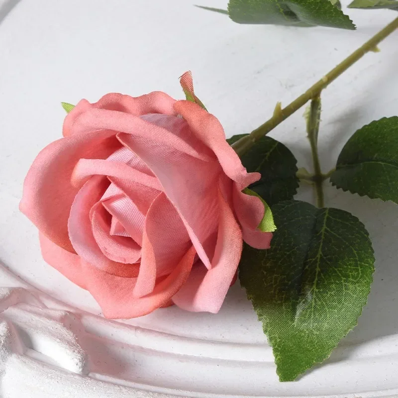 S9c05c89310ac4d22b1b54920fee24dcfP.webp S9c05c89310ac4d22b1b54920fee24dcfP.webp