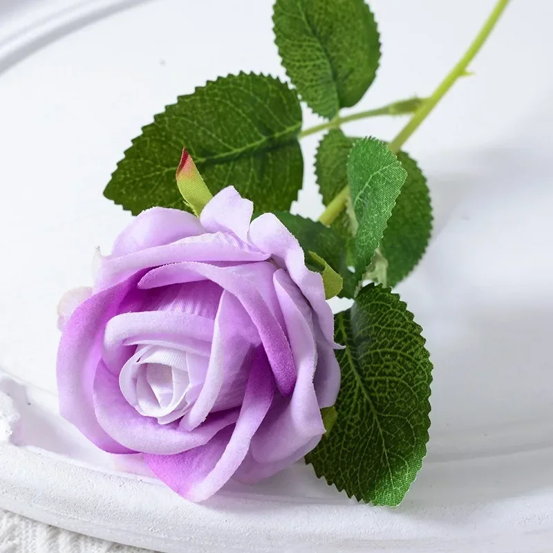 Sc73e15d2857a490e9a7afcc802701cc89.webp Sc73e15d2857a490e9a7afcc802701cc89.webp